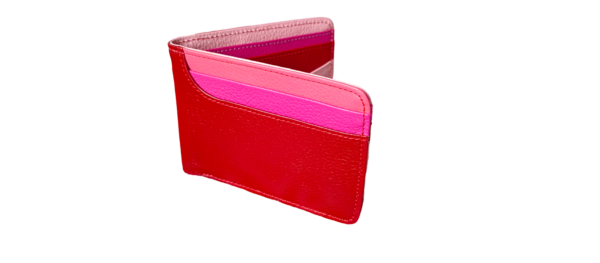Billetera Doblada multicolor-L&P BDM